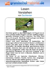 Elster - Sachtext.pdf